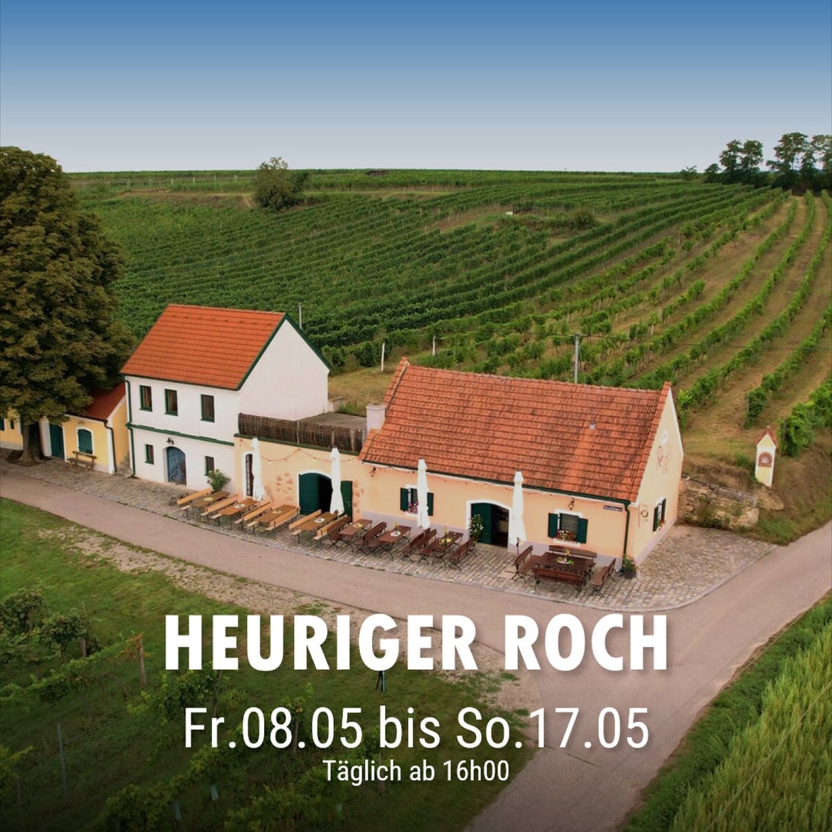heuriger roch